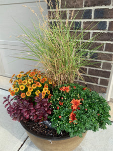 Landscape Pot Design & Planting